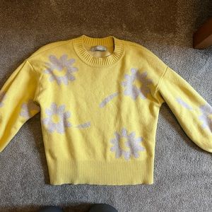 Cotton Merino Everlane Crew